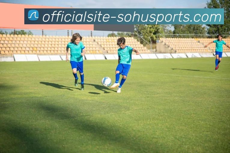 搜狐体育平台生态图