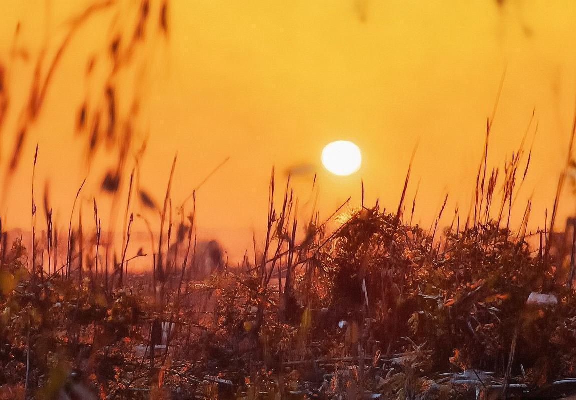 北京国安VS广州恒大：精彩对决全面解析及观赛指南(图3)